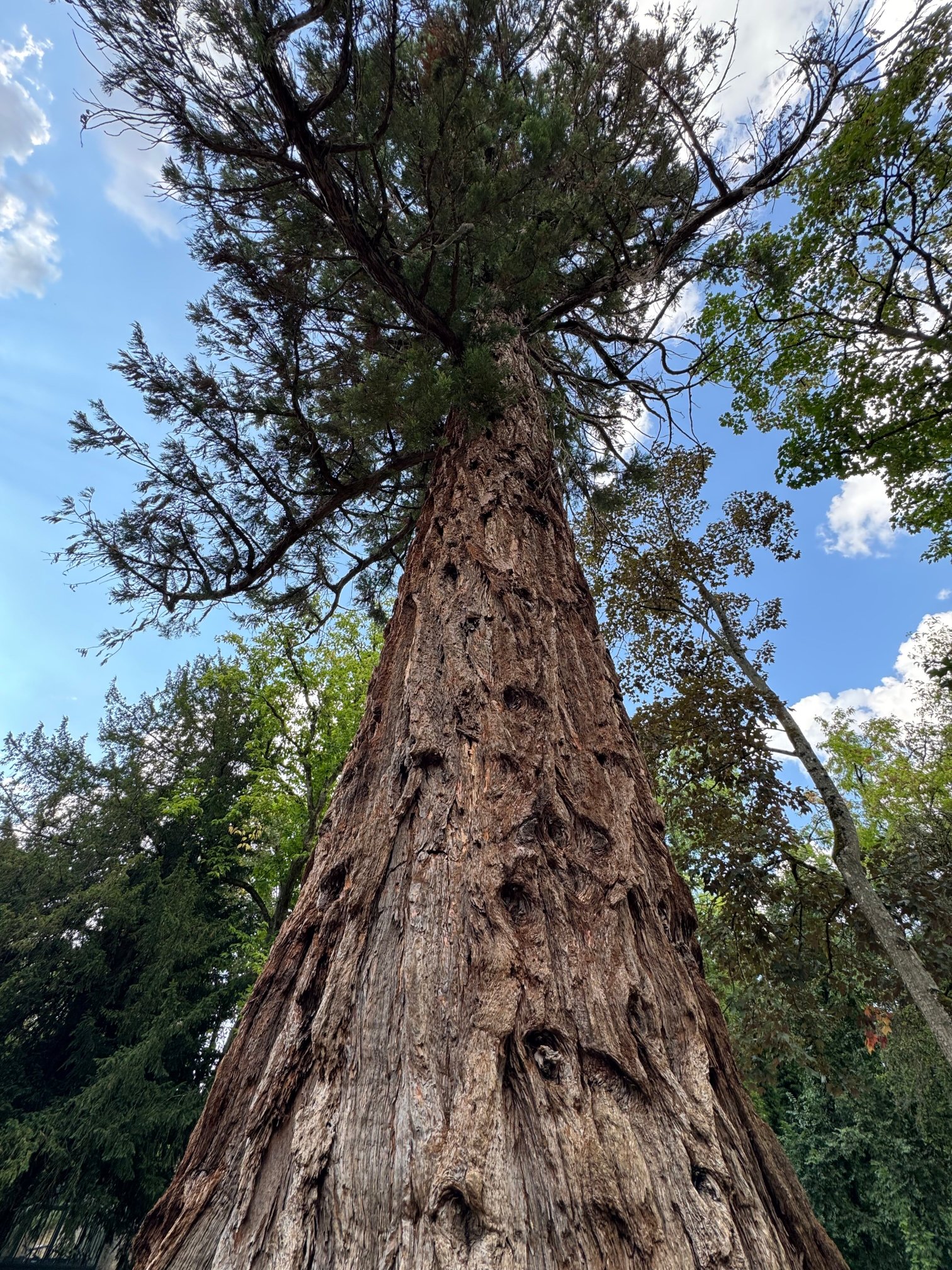 夏兰奇城堡酒店-浴室
