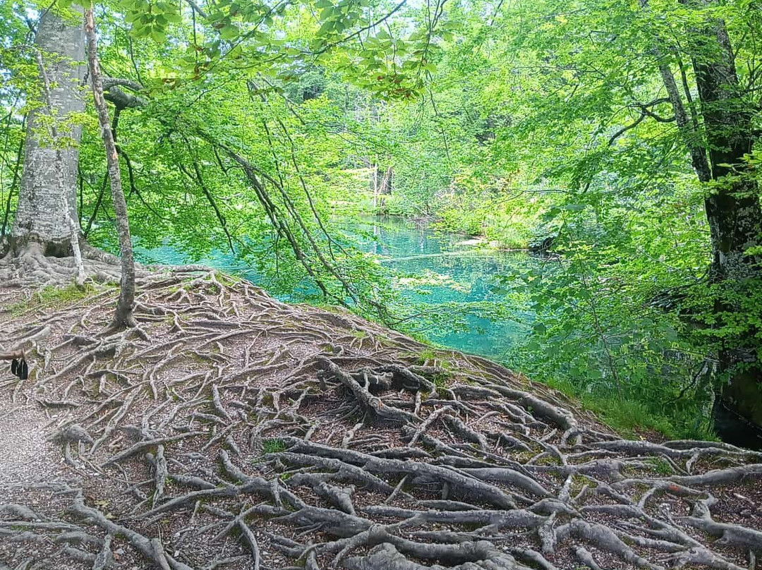 Plitvice Travel-十六湖必去景点