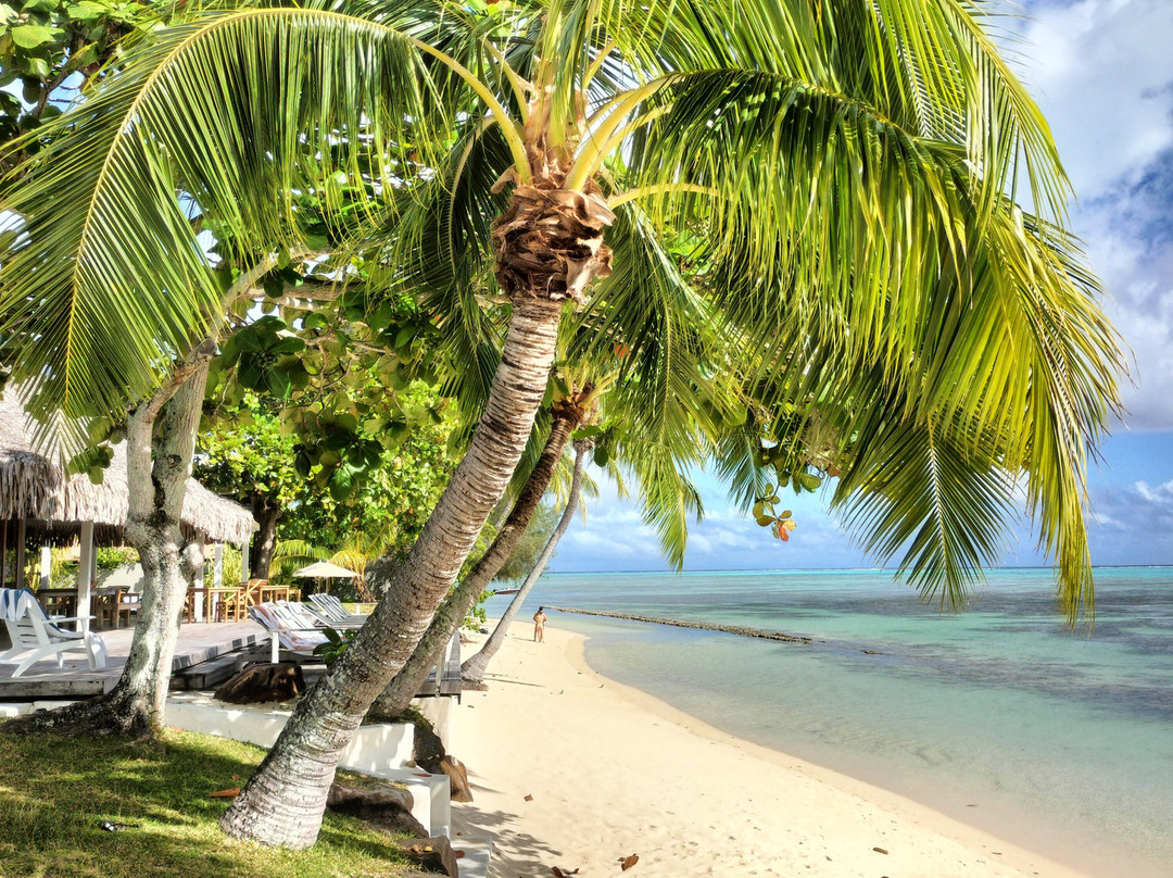 Moorea Island Beach主图