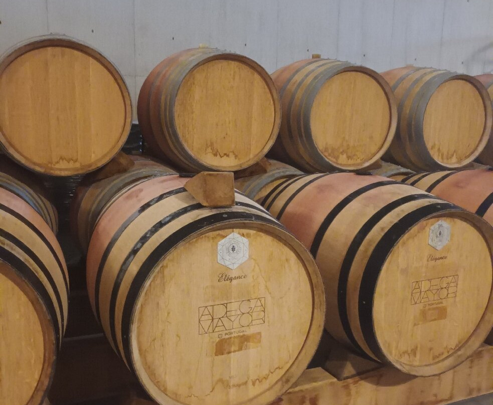 Adega Mayor-Campo Maior必去景点