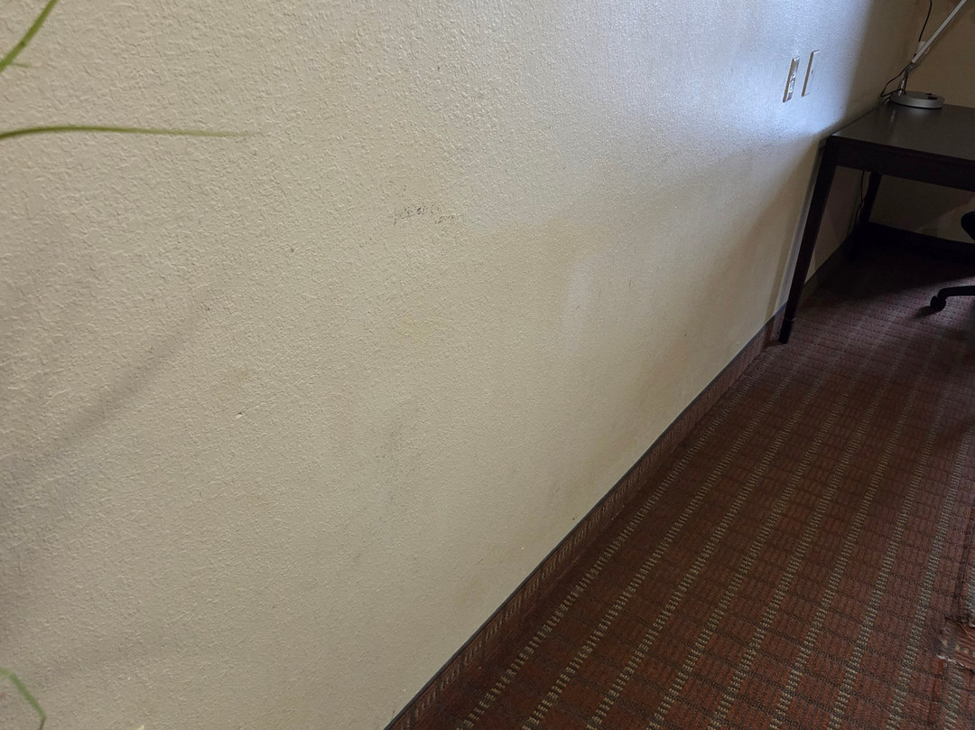 Holiday Inn Express & Suites Laurinburg by IHG主图