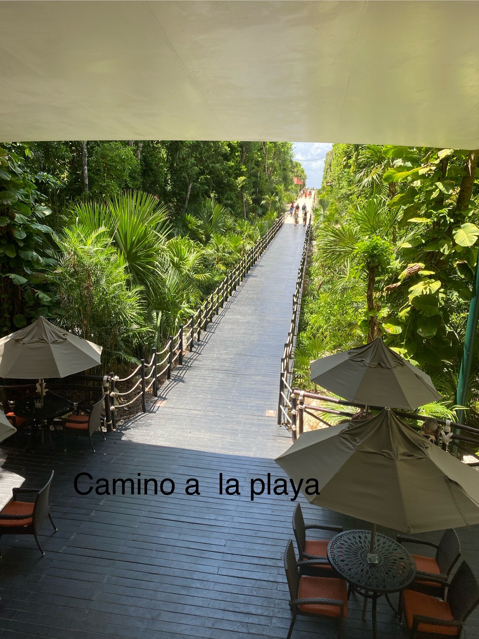 Occidental at Xcaret Destination-浴室