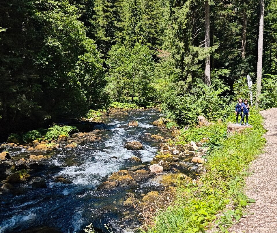 Grottes de Vallorbe-Vallorbe必去景点