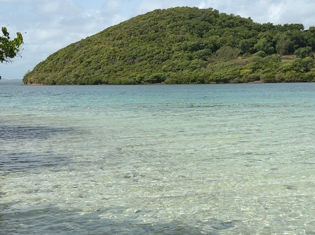 Catamaran Bwa Drese-Le Robert必去景点