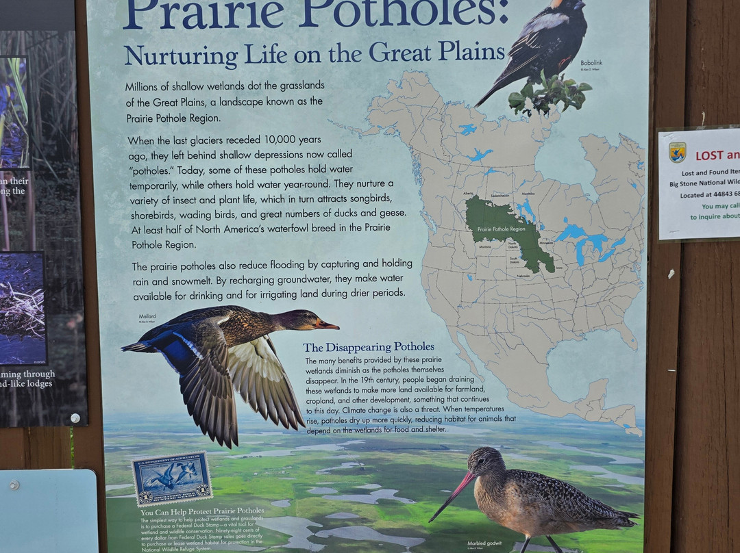 Big Stone National Wildlife Refuge-Ortonville必去景点