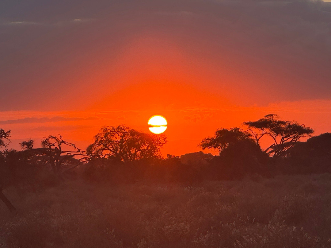 Safaris By Max-内罗毕必去景点