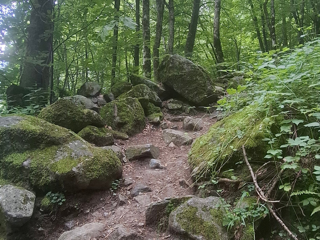 Waterfall of Foroglio-Foroglio必去景点