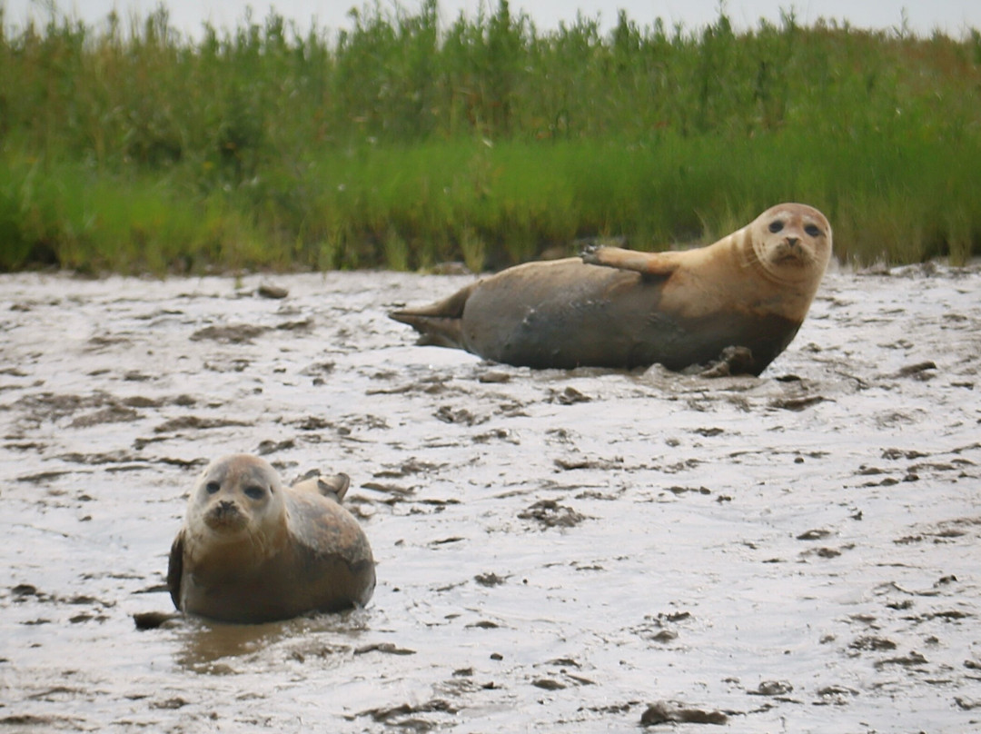 Discovery Seal Trips-Rochford必去景点