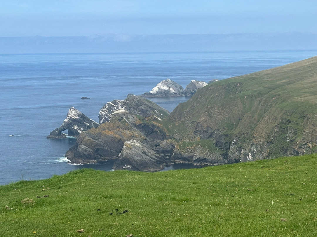 Hermaness National Nature Reserve-Unst必去景点
