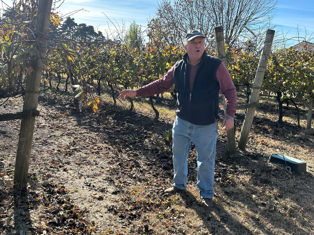 Bodega Garaje Casa Grande-Canelones必去景点