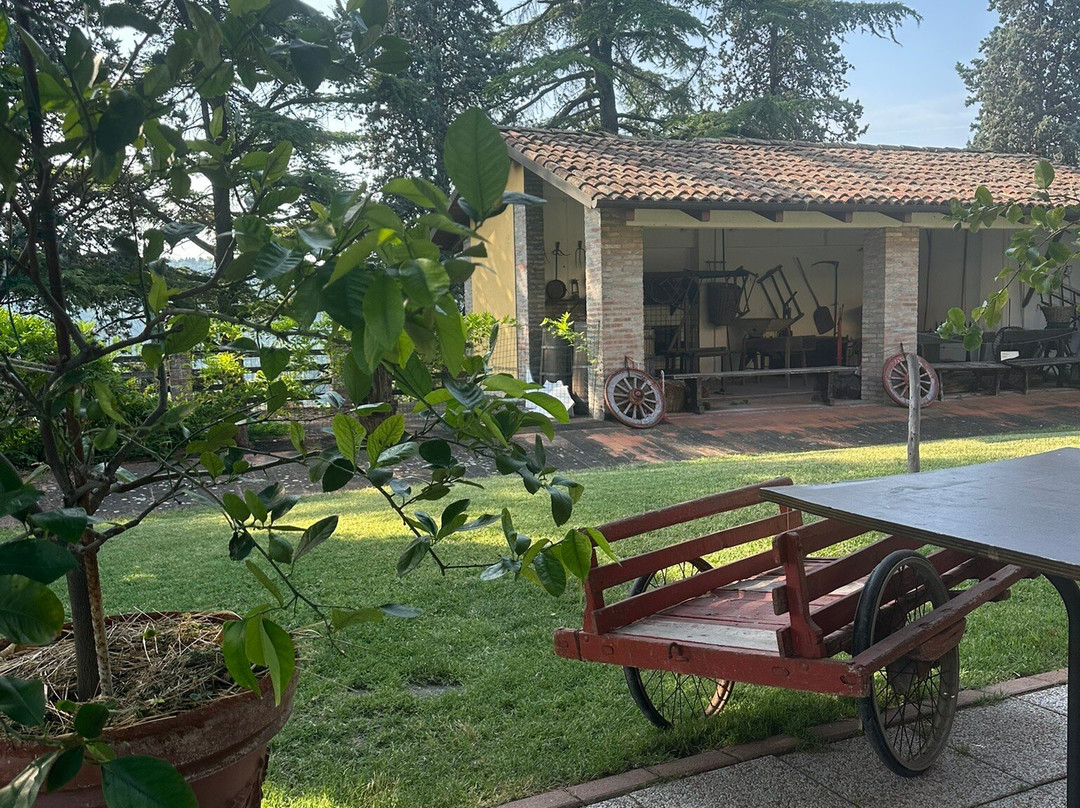 Ronca Ca di Paola主图