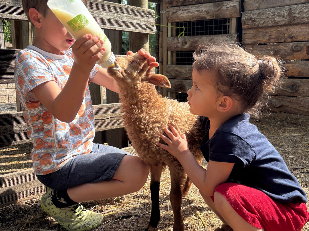 Ferme de Decouverte Saint-Andre-Saint-Andre必去景点