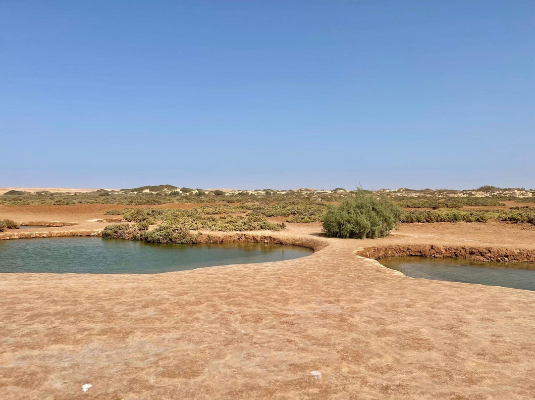 Medoviaje Dakhla-达赫拉必去景点