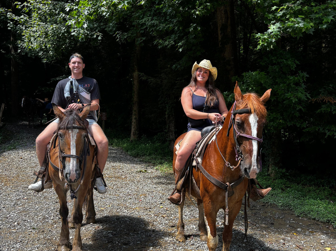 Sugarland Riding Stables-盖林柏格必去景点