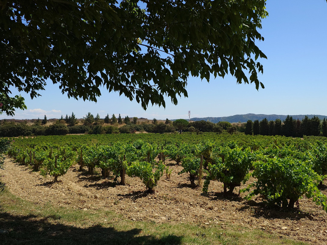 Chateau d'Aqueria-Tavel必去景点