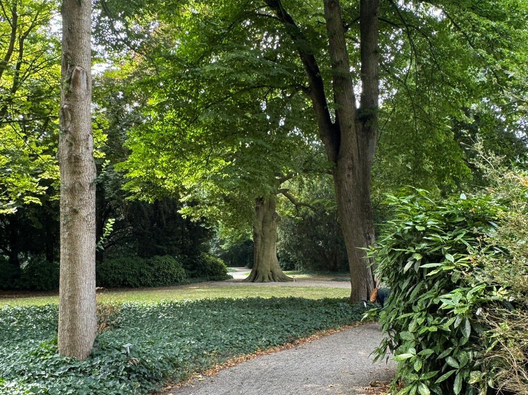 Ambtmanstuin-Stadspark te Tiel-蒂尔必去景点