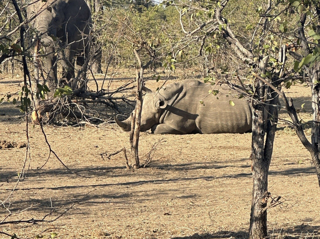 Mosi-oa-Tunya National Park-李文斯顿必去景点