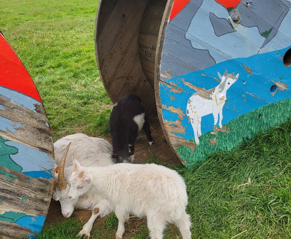 Haafell Goats and Roses-Reykholt必去景点