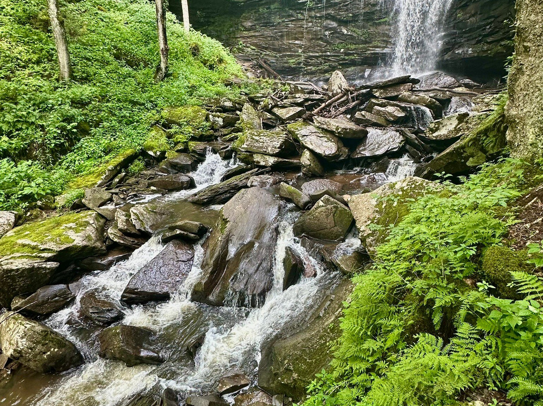 Falls of Hills Creek-Hillsboro必去景点