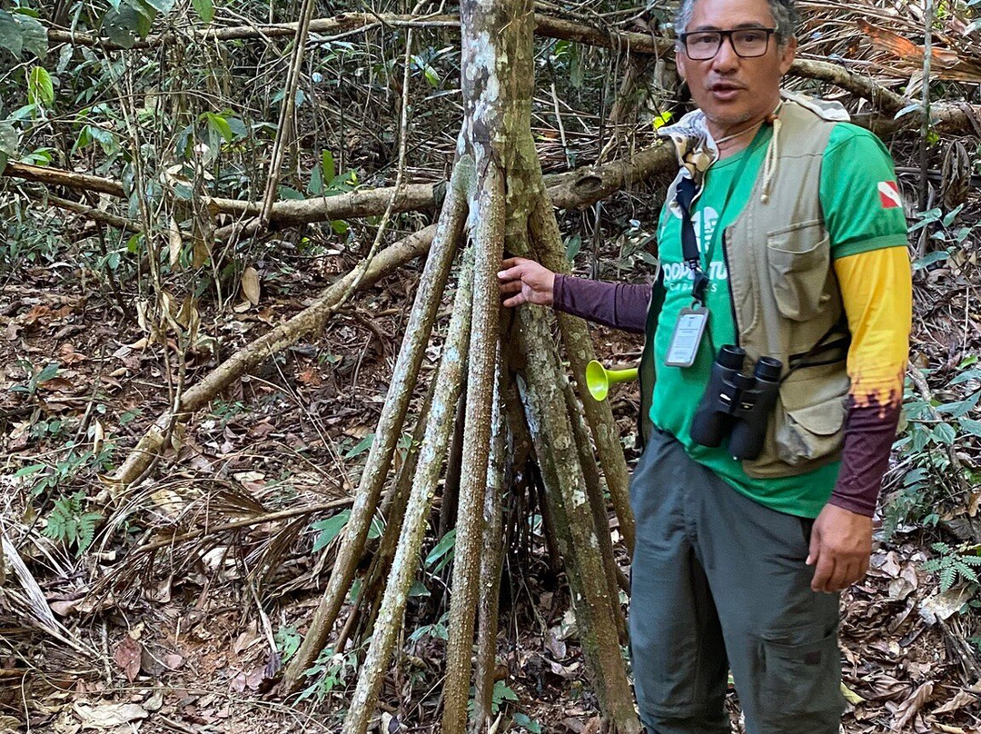 Floresta Nacional dos Carajas-Parauapebas必去景点