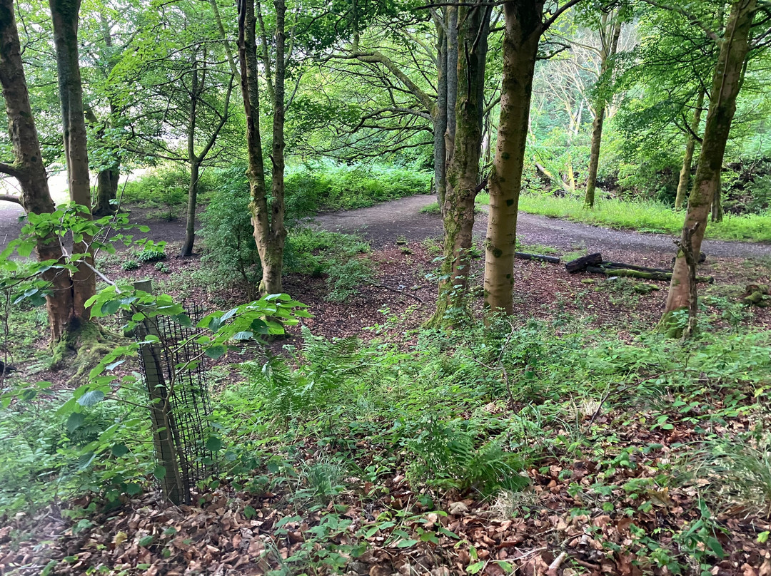 Derwent Reservoir Walk, Derbyshire