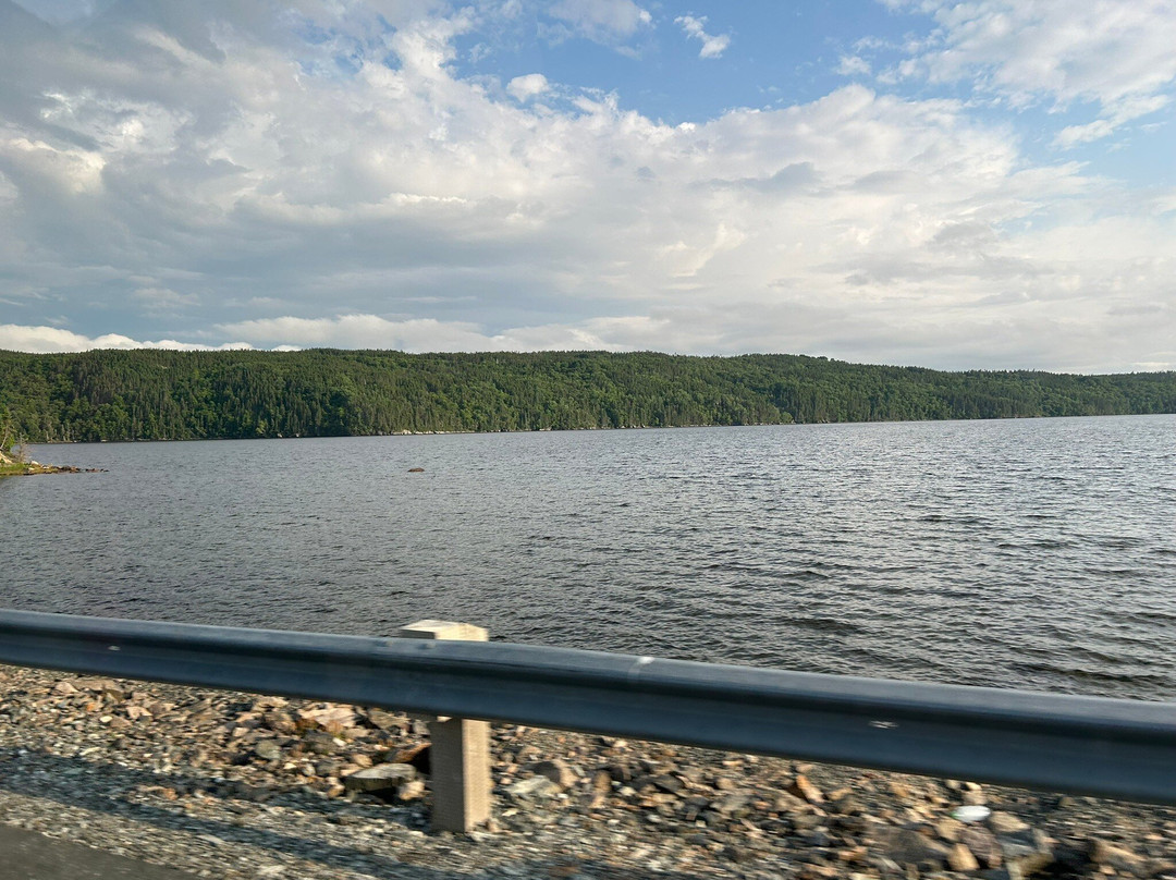 White Sails Inn & Cabins主图