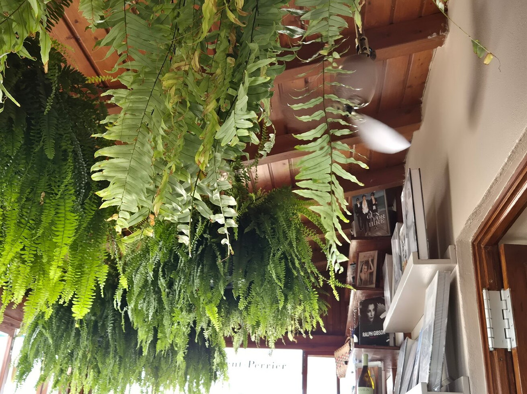 Gomes Espumantaria & Jardim