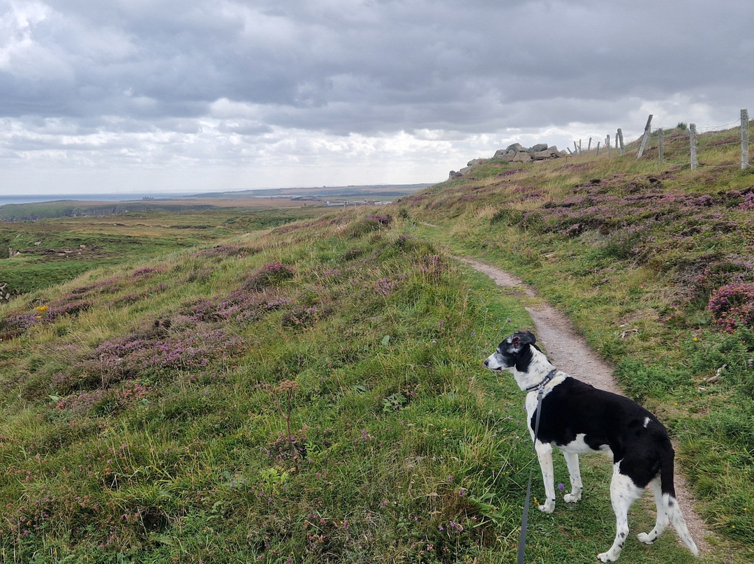 St Olaf Golf Hotel Ltd主图