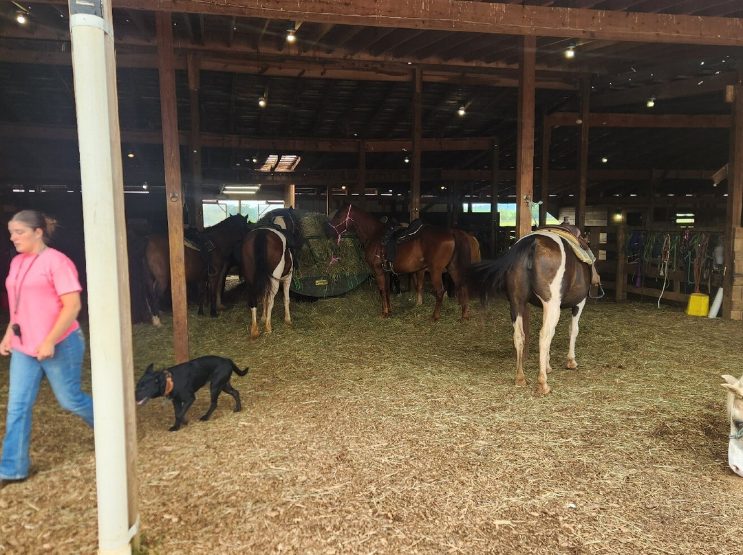 Spring Valley Farm-Moneta必去景点