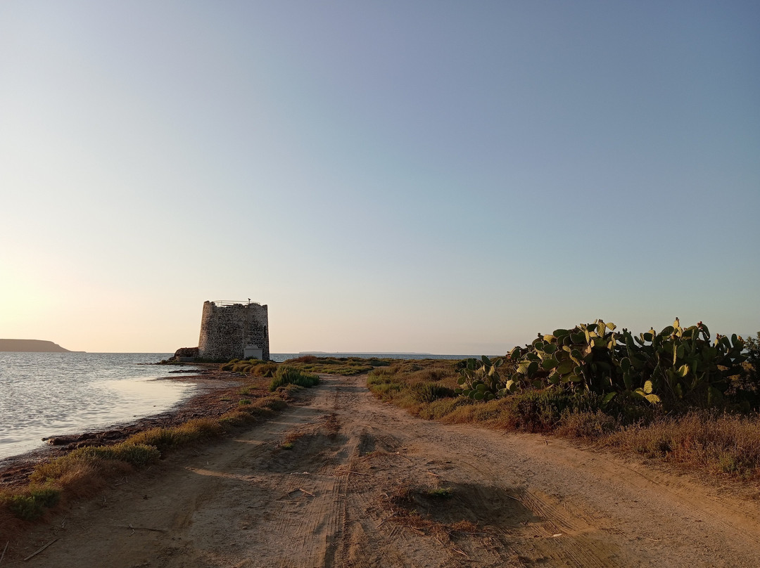 Laguna di Marceddi-阿尔布斯必去景点