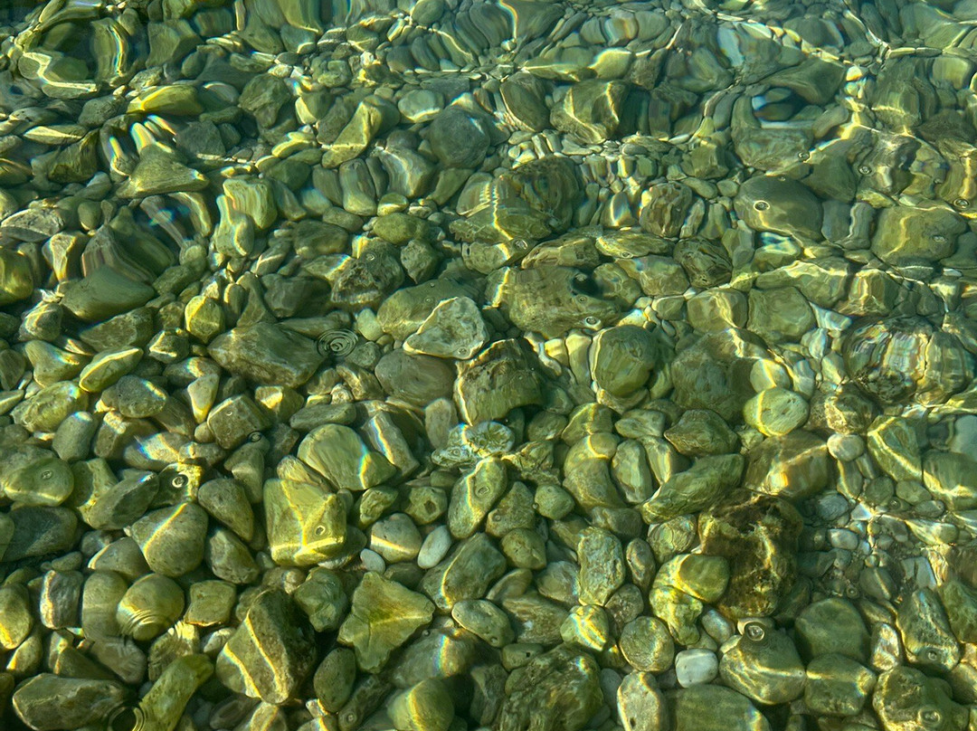 Dafnoudi Beach-菲斯卡尔宗必去景点