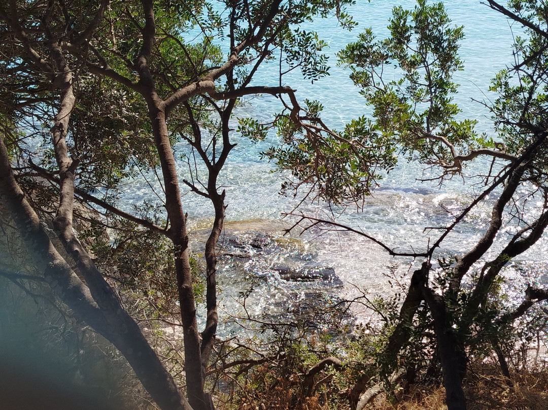 4x4 Agriates-Casta必去景点