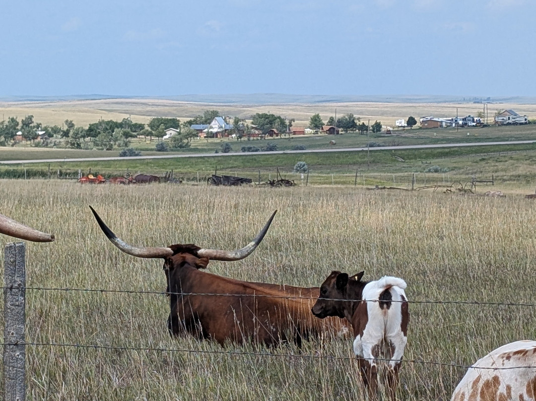 South Dakota's Original 1880 Town-Murdo必去景点