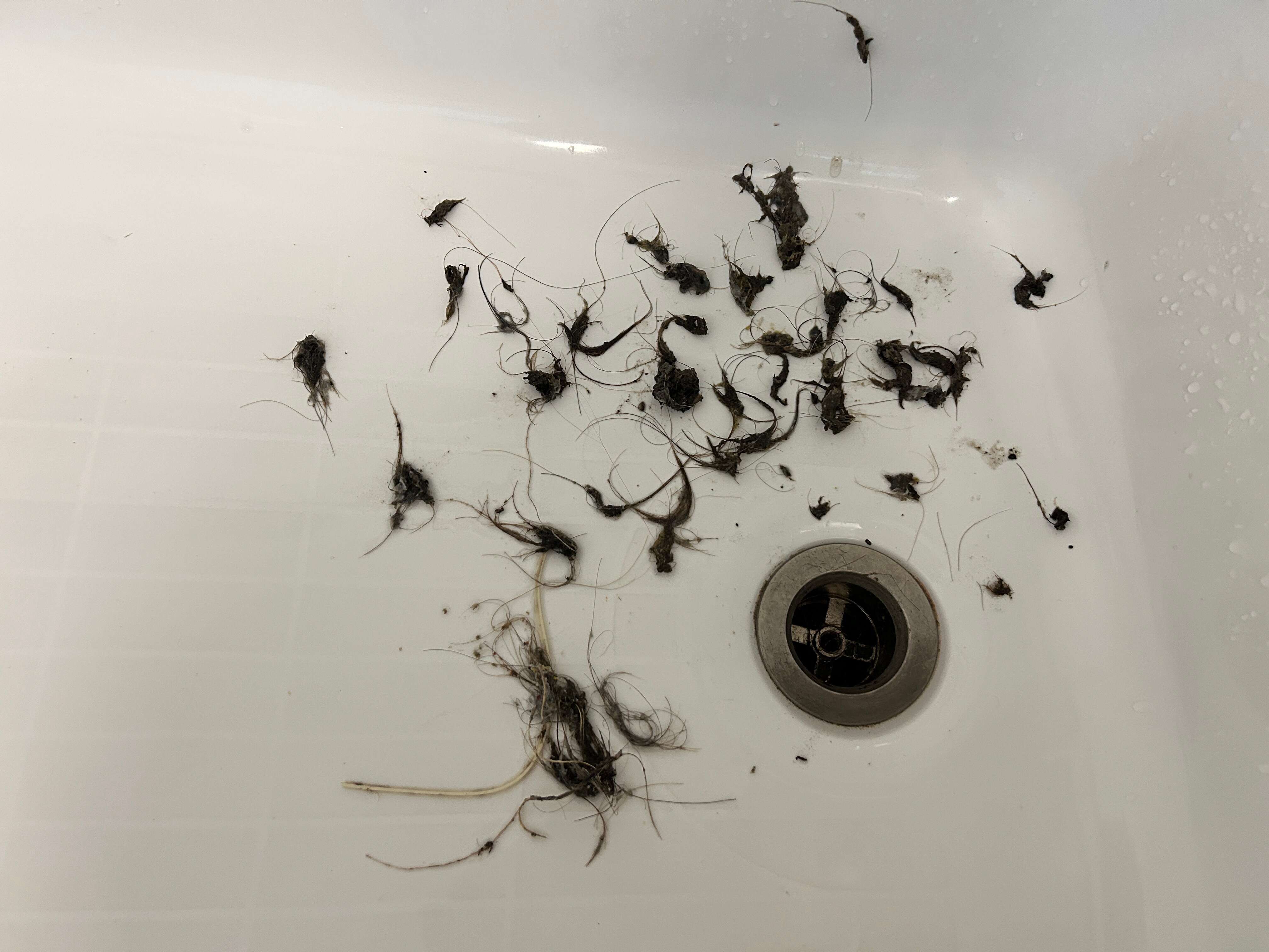 Holiday Inn Express & Suites Clemson - Univ Area by IHG-浴室