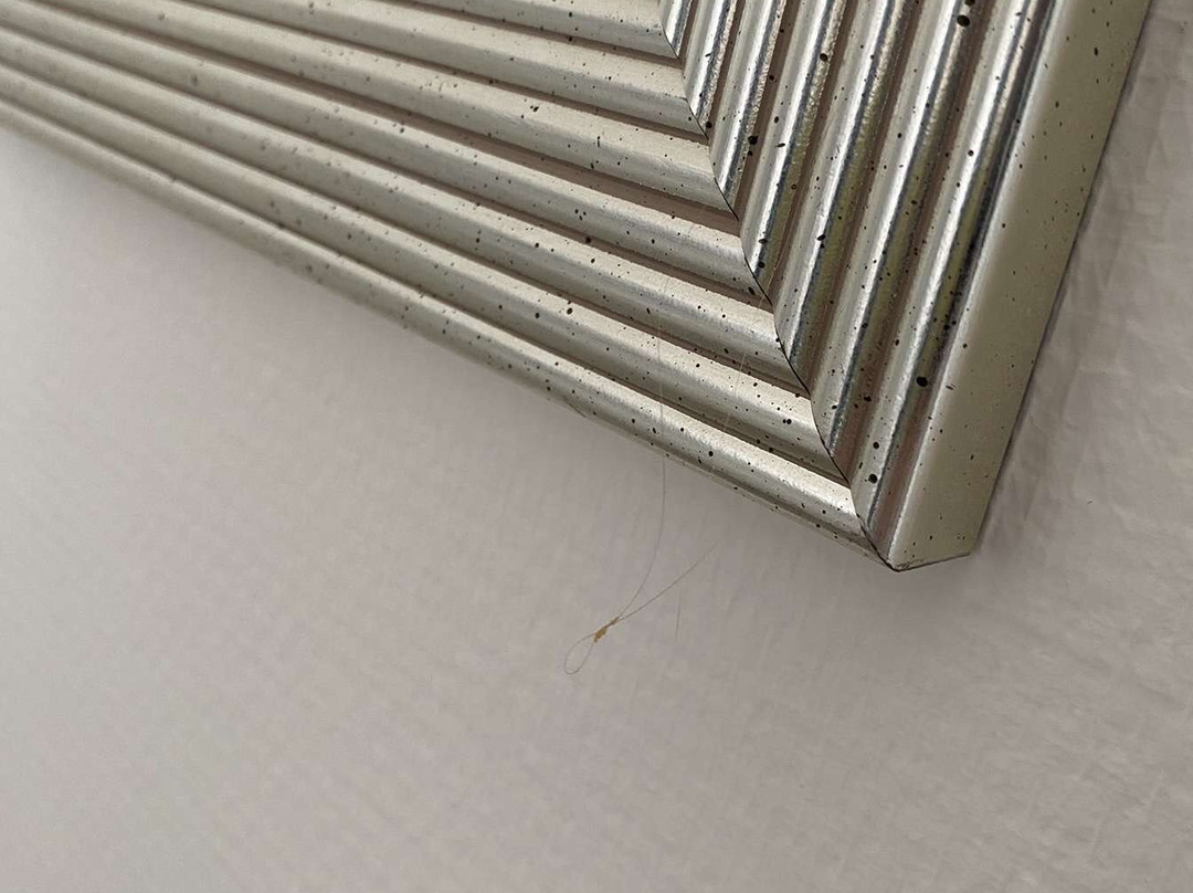 散库斯贝德酒店主图