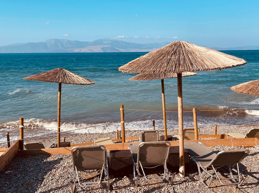 Black and White Boho Resort