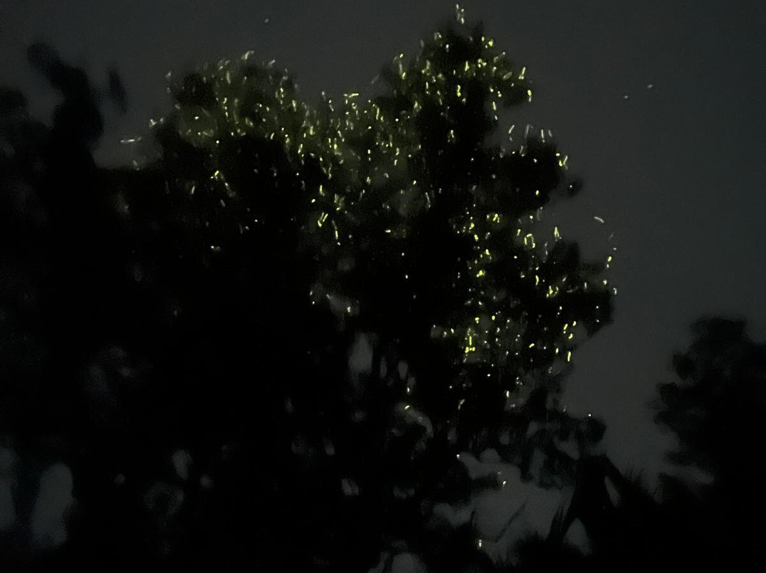 薄荷岛Kayakasia水上之旅-Maribojoc必去景点