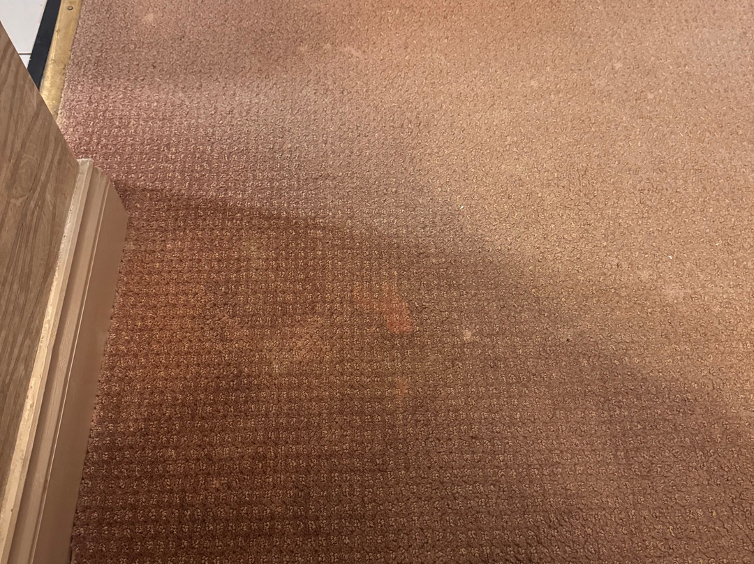 Hotel les Tilleuls主图