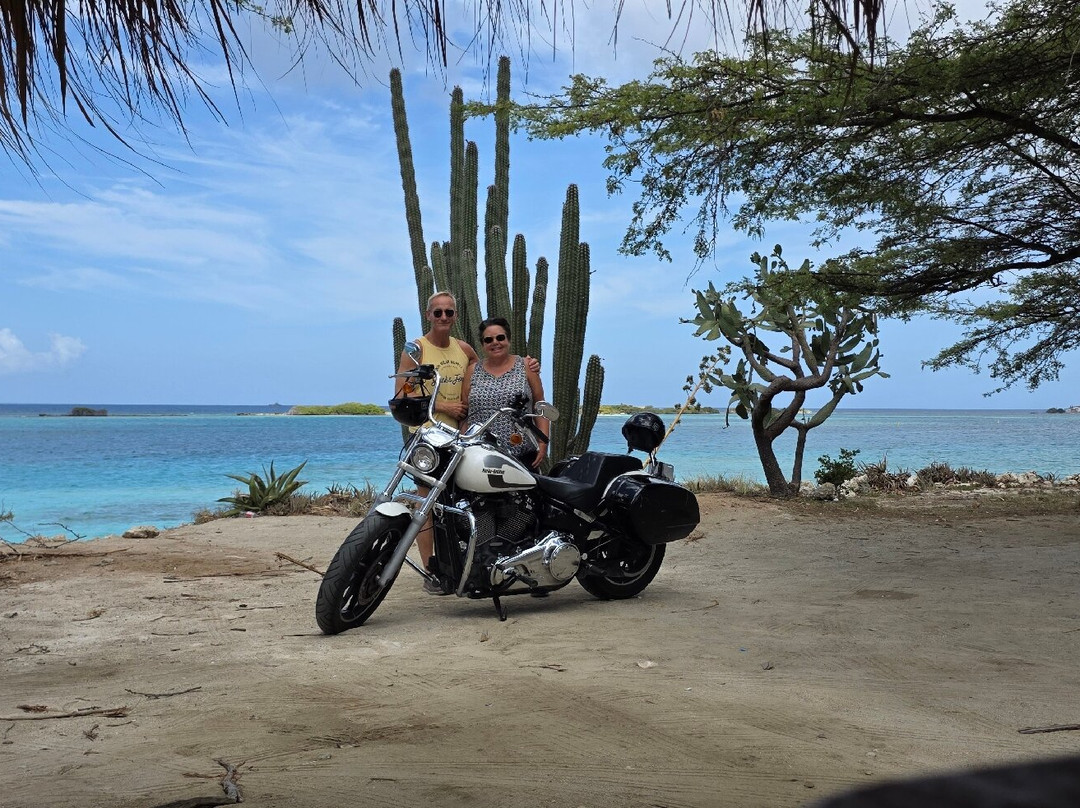 Aruba Motorcycle Tours-奥腊涅斯塔德必去景点