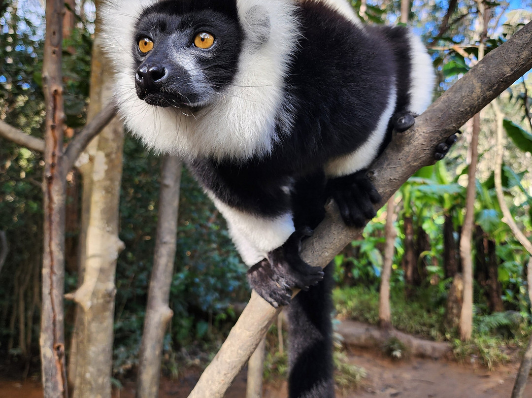 Sudmadatrek Voyages-Fianarantsoa必去景点