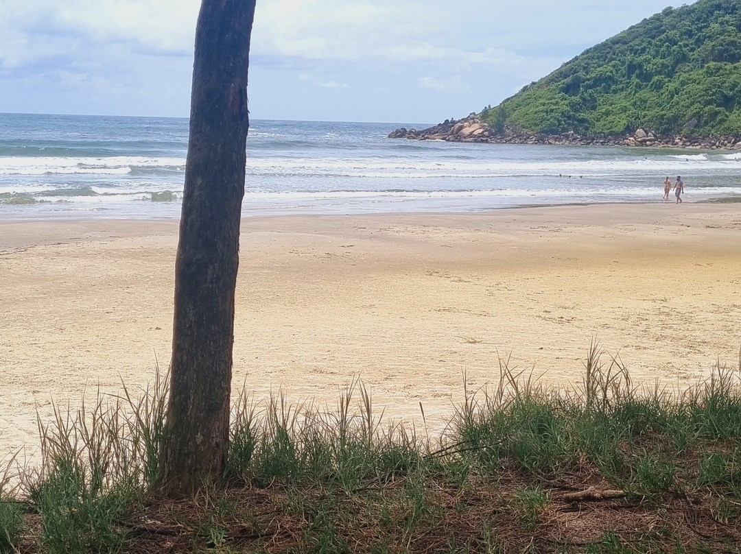 Vermelha Beach-Praia do Rosa必去景点
