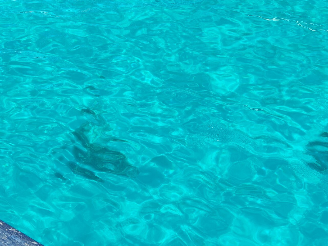 Boats Rentals Porto Vromi-Porto Vromi必去景点