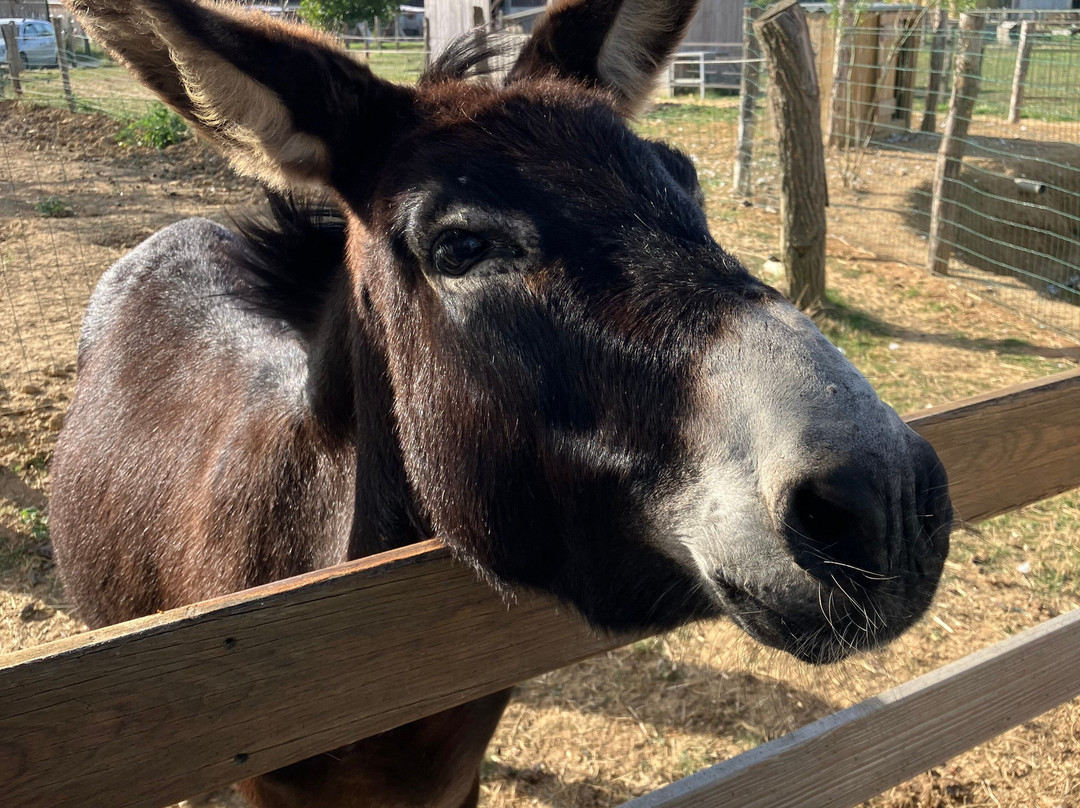 Ecurie Du Vermois-Burthecourt-aux-Chênes必去景点