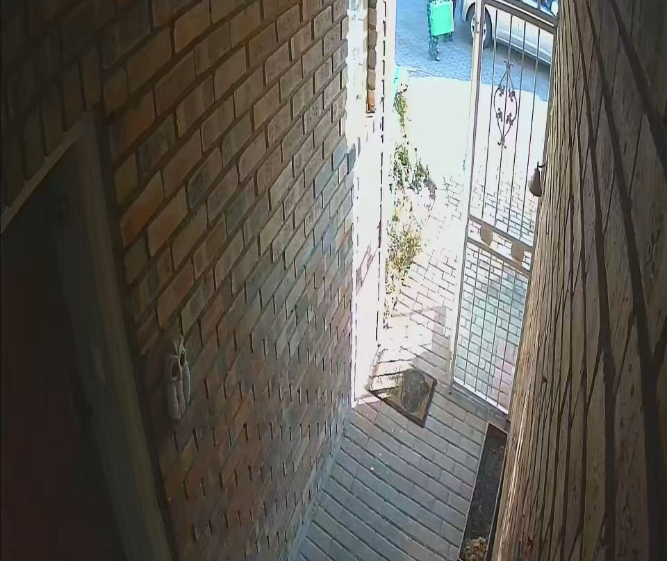 Scuba Legendz-约翰内斯堡必去景点