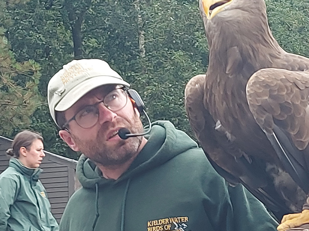 Kielder Water Bird of Prey Centre-Kielder必去景点