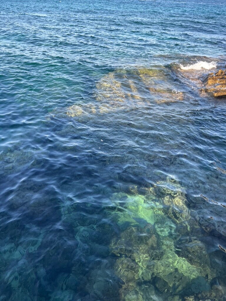 Salamis Bay Conti Resort Hotel & Casino-泳池