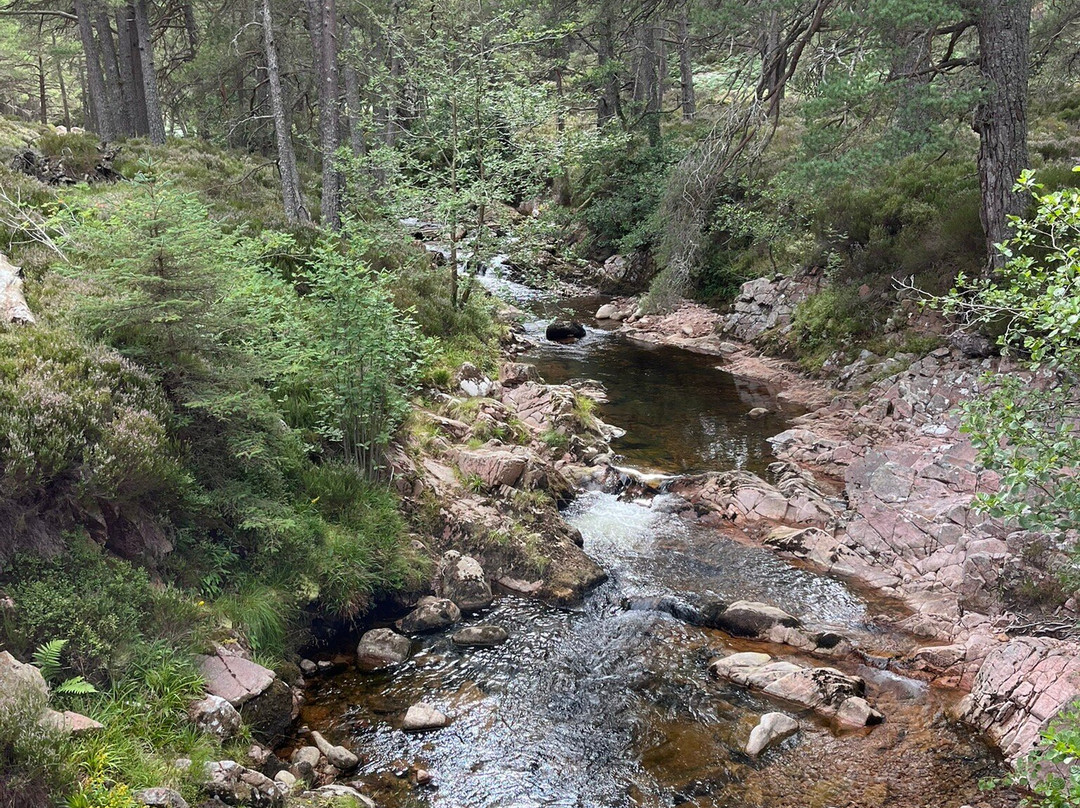 Glen Tanar National Nature Reserve-Aboyne必去景点