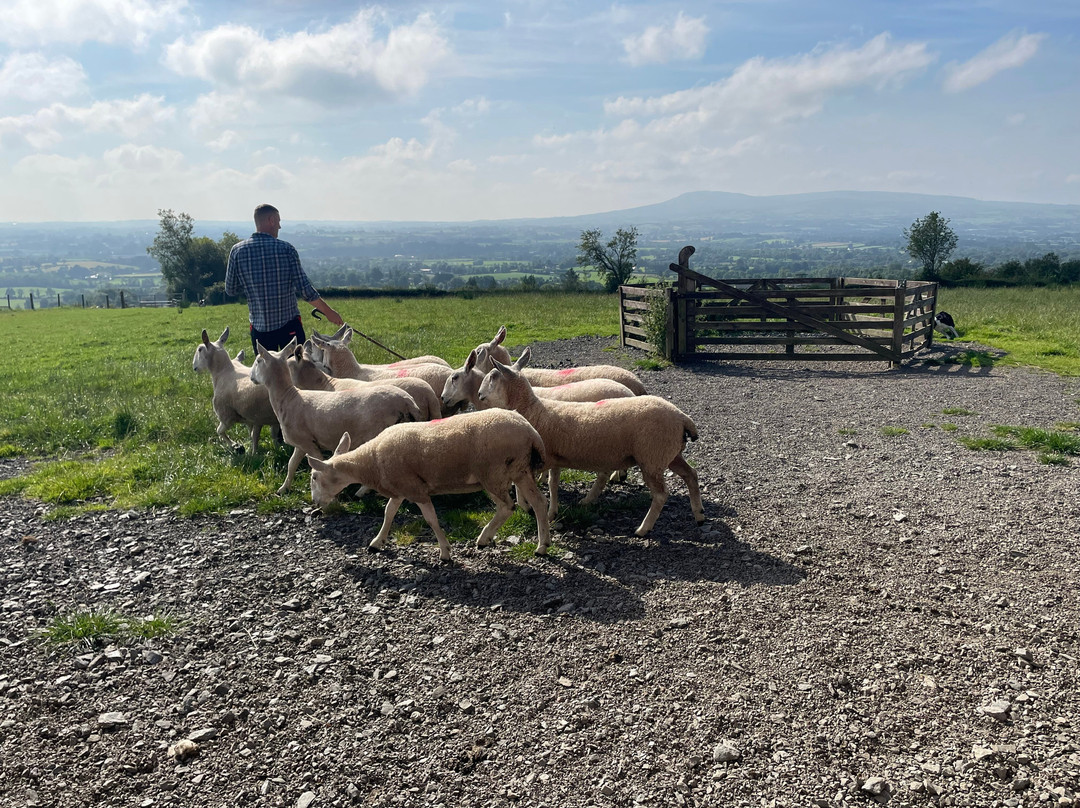 Glenshane Country Farm-Maghera必去景点
