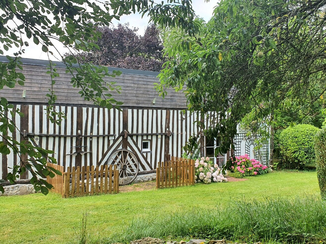 Les Petits Matins Bleus主图