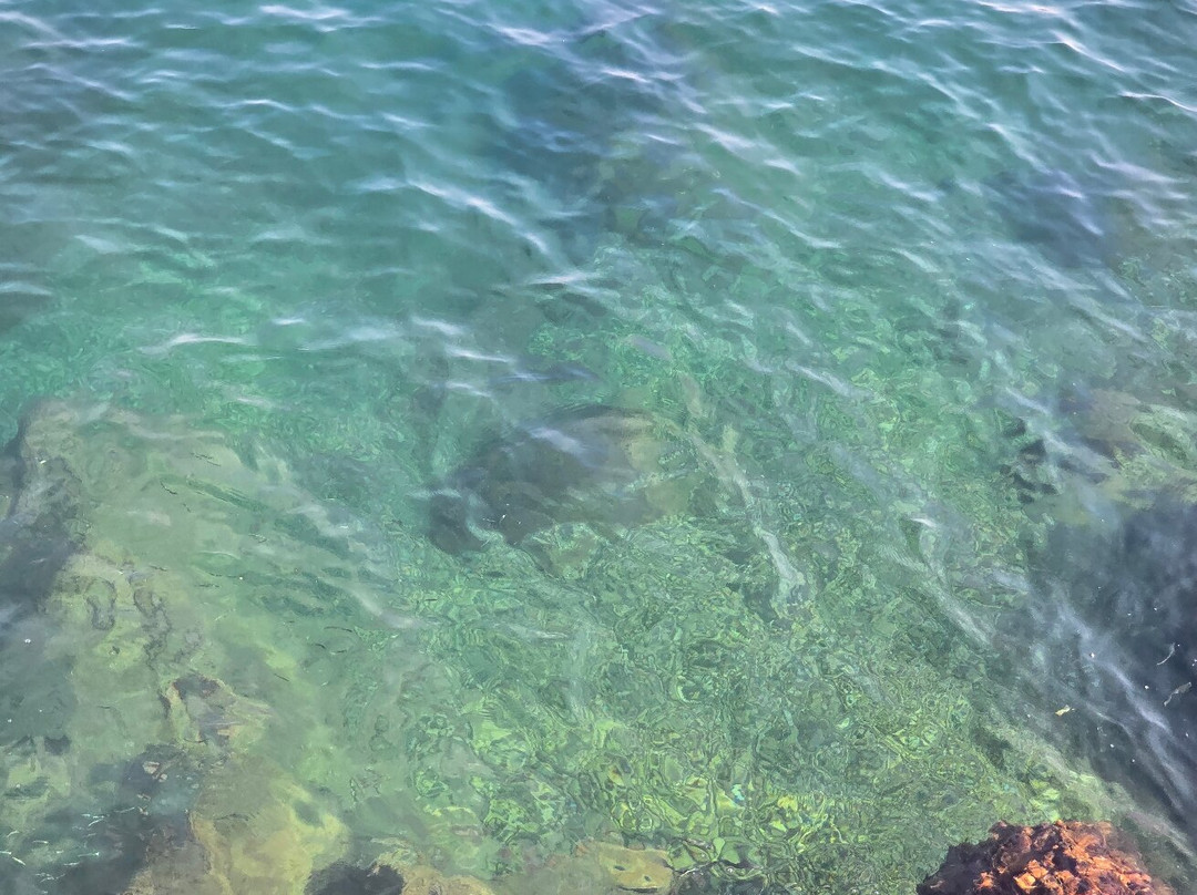 Bagno U. Conte-斯塔比亚海堡必去景点